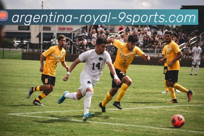 App Interface Preview